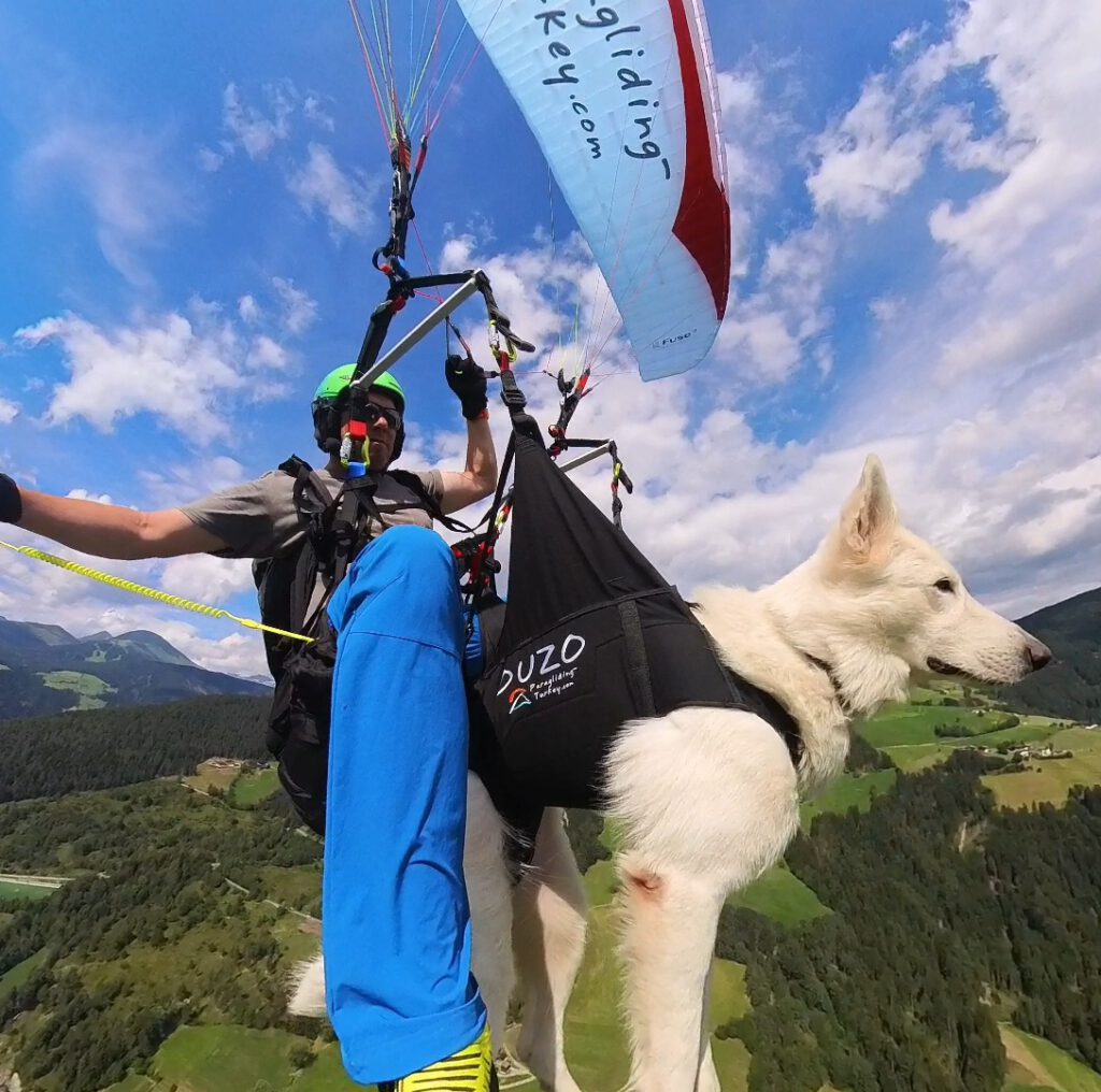 Paragliding-Turkey, Alexander Friesl als Tandempilot fliegen mit Schäferhund